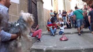 Dos genios cantando en la calle Flamenco Caceres