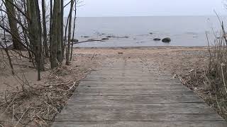 sea ​​birds sing, zhozhdik, the sound of the sea, calmness