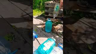 У нас в посёлке вода с червями ,поехали на родник.