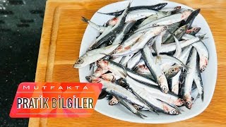 Hamsi Nasıl Ayıklanır? | Hamsi Nasıl Temizlenir?