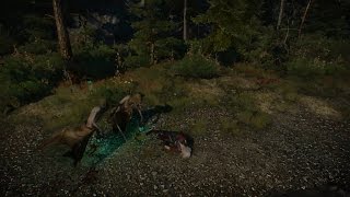 (Death Montage/Compilation)The Witcher 3 Wild Hunt Deaths