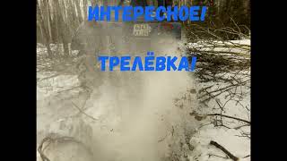 В лес на МтЗ-50\\Валим и вывозим брёвна.
