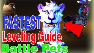 HOW TO QUICKLY LEVEL BATTLE PETS│World of Warcraft Legion