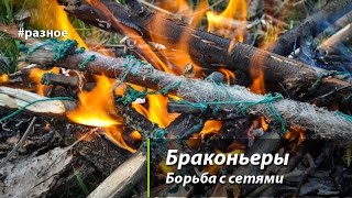 Браконьеры. Борьба с сетями