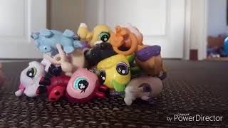 Pinoa lps kasa