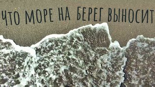 Что море на берег выносит? Накопали всякого