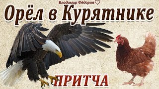 Орёл в Курятнике (Мудрая притча о предназначении человека и его самооценке)