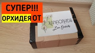 НОВИНКА!!! ОРХИДЕЯ от Оксаны Астрахань| орхидеи orchid orchids почтой по почте