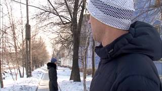 Потерялся шарпей