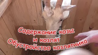Содержание козы и козлят. Обустройство козлятника.