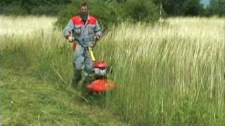 VARI PONY ASP 60B Sečení bubnové * Drum mower * Trommelmäher * Дисковая косилка