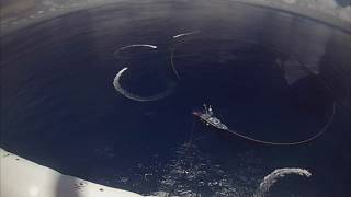 Lance a delfines tornillo spinners - Vista desde helicóptero - Pesca de cerco