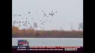 Затопленный заповедник