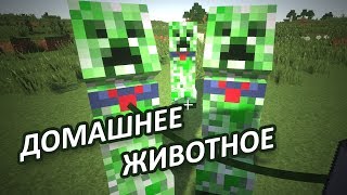 КРИПЕР ДОМАШНЕЕ ЖИВОТНОЕ - Minecraft (Обзор Мода)