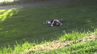 Mt. Tabor Kiddie Porn