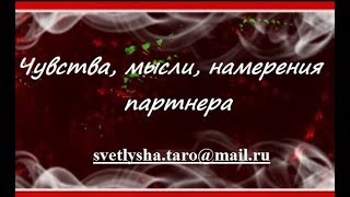 ОНЛАЙН ГАДАНИЕ. ЧУВСТВА, МЫСЛИ, НАМЕРЕНИЯ ПАРТНЕРА
