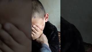 Sekis