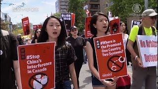 加拿大3城市 2千多人抗议香港「送中」恶法【中国禁闻】