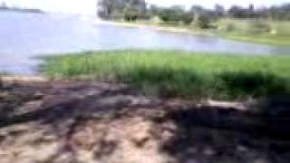 Video 0005