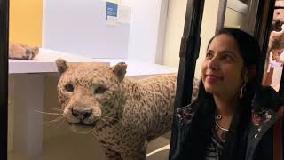 பிரம்மிக்க வைக்கும் லண்டன் மியூசியம் | London Natural History Museum | Anitha Anand