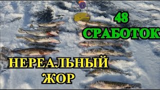 ЩУКА НА ЖЕРЛИЦЫ КАК С ПУЛЕМЁТА!!!48 СРАБОТОК!!!ЭТО НЕРЕАЛЬНО!!!