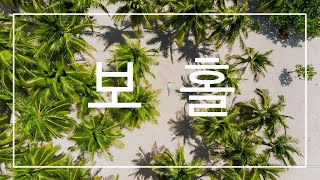 보라카이 다음은 여기! 보홀 리조트 Best 10