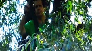 Видео студии КЛЭР - Клуб Любителей Розог