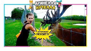 Арина и Алиса в сафари парке с Оленями