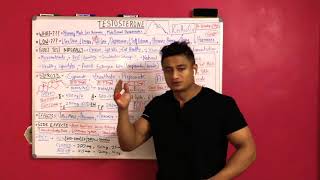 Testosterone /benefits/side effects / cycle / dosage / price / precautions / PCT / best combine with