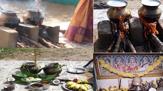 Happy pongal 2020 / pongal celebrations