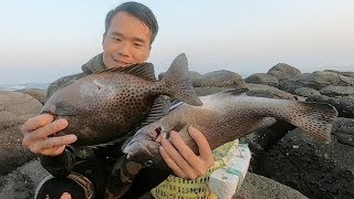 探海漁人潛水打魚，天天收穫都不小，一條值錢的魚就已經很滿足了！ 【探海漁人】
