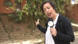 Corte de Árvore (05.09.17)