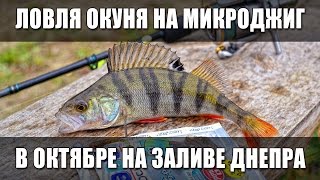 Как ловить окуня осенью. Ловля окуня на микроджиг в октябре на заливе Днепра.