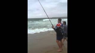 Josh Hannaford jewfish NSW Newcastle