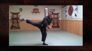 Keri (Ninjutsu "Kicks"):  Sokuho, Koho, Happo and Sukui Geri from Bujinkan Black Belt Training