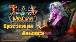 Время героев: Красавицы Альянса (World of Warcraft: Warlords of Draenor)