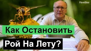 №120 Как Остановить Рой на Лету, Почему Рой, Пчелиный рой |  Пасека | Пчеловодство для начинающих