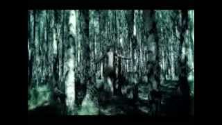 iamamiwhoami - t - (Blackout Remix)