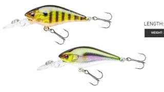 Daiwa Prorex Baby Crank MR
