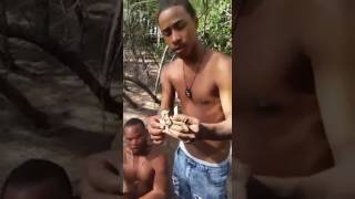 Comiendo lagartos vivos Este joven le gusta comer lagartos