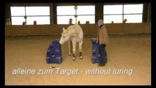 Arcon lernt Nein sagen-Arcon learns to say no
