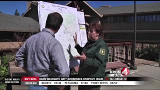 Forest Starts Healing After Rim Fire