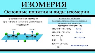 Органическая химия. Изомерия. ЕГЭ.