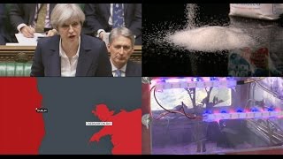 EU laws and shrinking chocolate