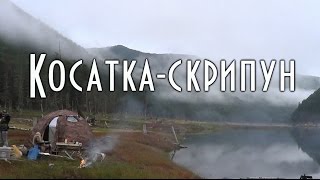 КОСАТКА СКРИПУН, рыба с ядовитыми шипами, обитатель бассейна Амура
