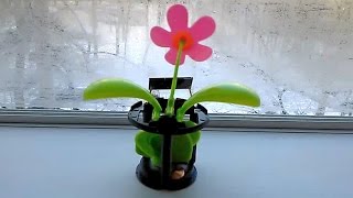 Разобранный Flip Flap (цветок на солнечной батарее)