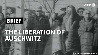 Footage of Auschwitz liberation in 1945 show horrific conditions | AFP