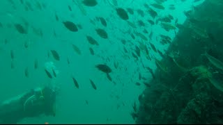Diving Ship Wrecks in Malaysia