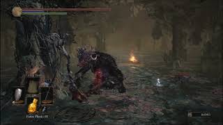 Dark Souls 3 - Massive battles