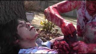 DYING DAYS
